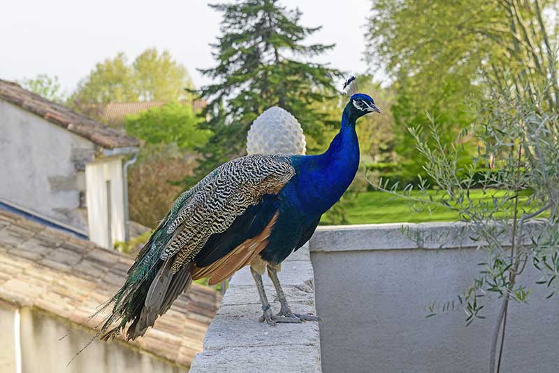 La Bastide de Bellegarde